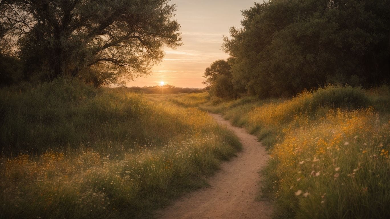 A humble dirt path through a field at sunset, reminiscent of verses from the Bible.