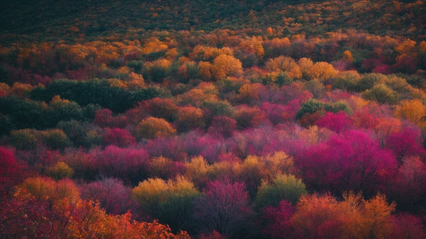 An aerial view of a forest with colorful trees, reminiscent of Isaiah 43:1.