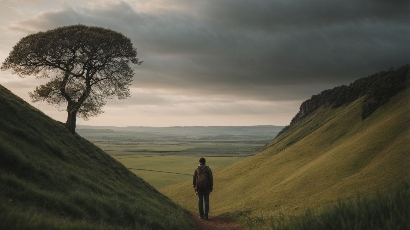 A man walking down a hill with a tree in the background, reflecting on the teachings of Scripture.